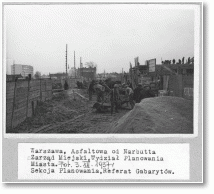 (2/14): sygn. 2995